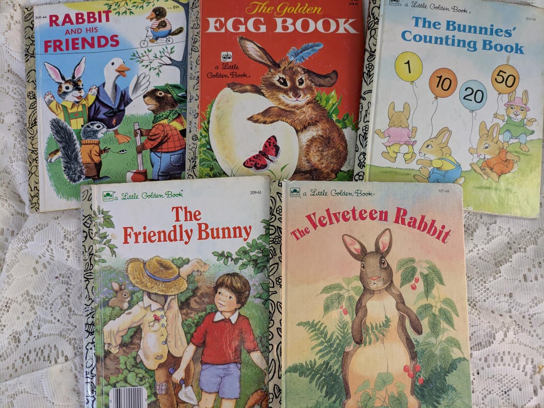 Meet The Rabbit Book This item is unavailable - Etsy