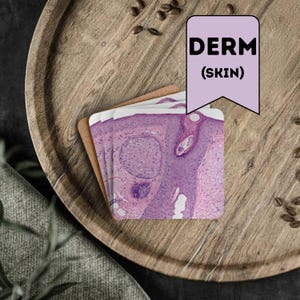 Histology Coasters, Dermatology Skin Pathology Stain, Anatomy Medical Lab Tech Gift