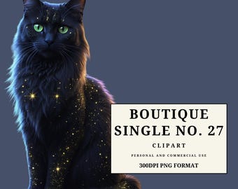 Celestial Black Cat Clipart, Magical Night Sky Cat PNG, Mystic Feline Illustration, Witchy Clip art for Crafts Stickers