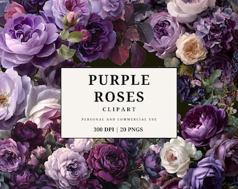 Clipart di rose viola • Rose dipinte in stile barocco • Eleganti bouquet e elementi floreali • 20 PNG • Alta risoluzione 300 DPI