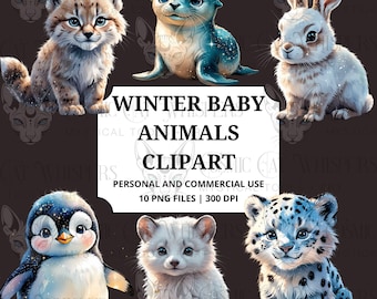 Winter Baby Animals Clipart Set | Arctic Fox, Penguin, Polar Bear, Snow Leopard, Owl PNG Bundle