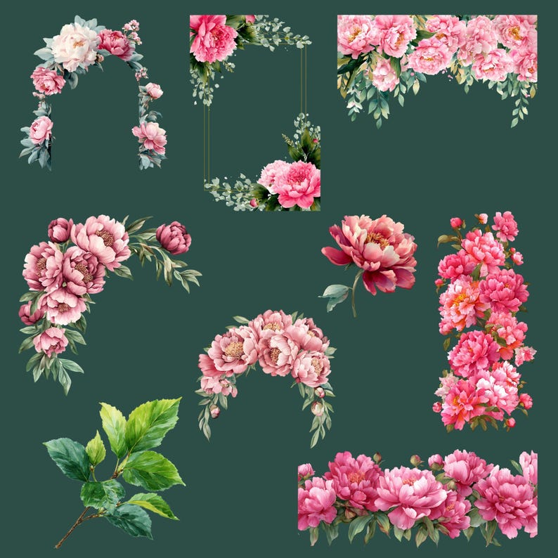 Pink Peony Clipart Bundle Watercolor Peonies PNG Flowers Floral ...