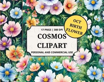 Cosmos Flower Clipart | Watercolor Cosmos PNGs for October Birth Flower, Weddings & Design