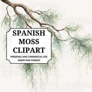May include: A watercolor illustration of Spanish moss clipart. The image features a branch with green, wispy moss hanging down. The text "SPANISH MOSS CLIPART" is in a white framed box. The text also includes "PERSONAL AND COMMERCIAL USE" and "300DPI PNG FORMAT."