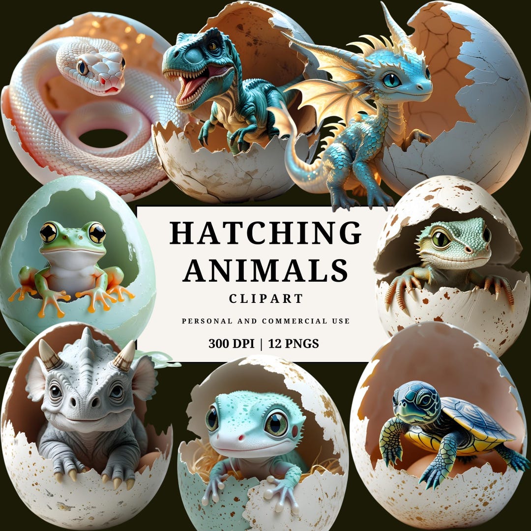 Hatching Animals Clipart Set | Baby Creatures in Eggs | Dino, Reptile ...