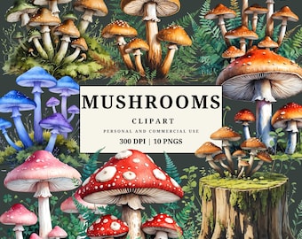 Whimsical Mushrooms Gouache Clipart | Forest Fungi & Toadstool PNGs | Enchanted Woodland Illustration Set | 12 PNGs