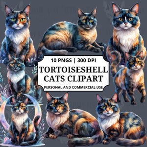 Może przedstawiać: Kolekcja grafiki cyfrowej przedstawiająca kilka kotów szylkretowych w różnych pozach. Koty mają mieszankę czarnego, pomarańczowego i kremowego futra. Obraz zawiera tekst "10 PNGS | 300 DPI" i "Tortoiseshell Cats Clipart".