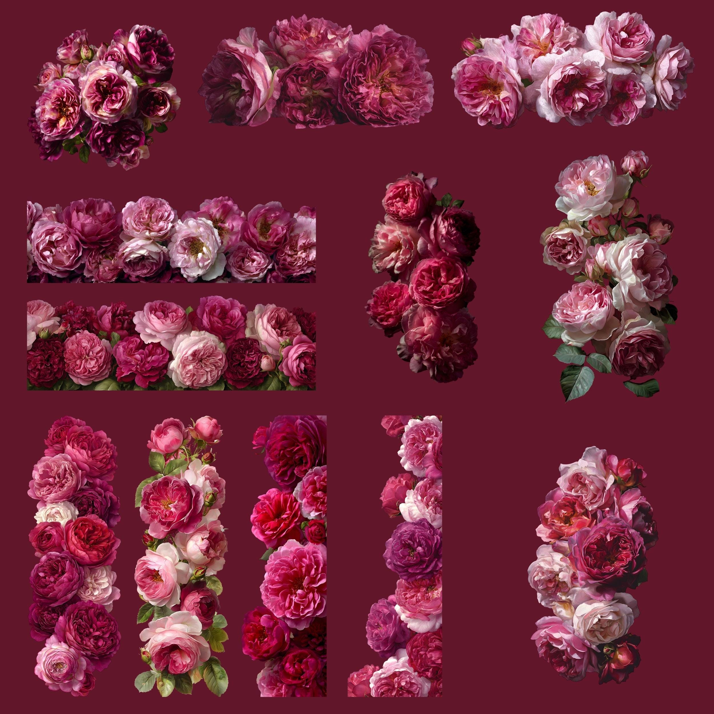 Pink Cabbage Roses Clipart | Romantic Floral Pngs | Vintage Garden Rose ...
