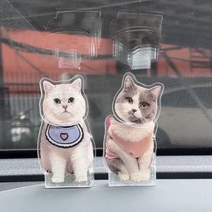 Customize your DIY acrylic bobblehead pet figurines and desktop decorations