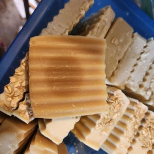 Shea and Cocoa Butter Goat Milk Shampoo Bars