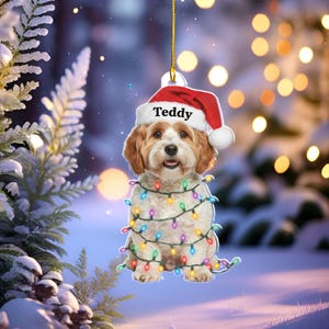 Könnte beinhalten: Ein Hunde-Weihnachtsschmuck mit einem Weihnachtsmannhut mit der Aufschrift "Teddy" und Lichterketten. Der Hund hat braunes und weißes Fell und hängt an einem goldenen Faden. Der Hintergrund zeigt eine verschneite Szene mit Weihnachtsbeleuchtung.