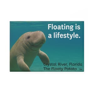 May include: A rectangular magnet showing a manatee in turquoise water. The manatee is light grey and smiling. Text reads "Floating is a lifestyle." Below, it says "Crystal River, Florida The Floaty Potato TM."