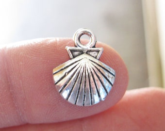 10 Shell Beach Charms in Silver Tone - C197