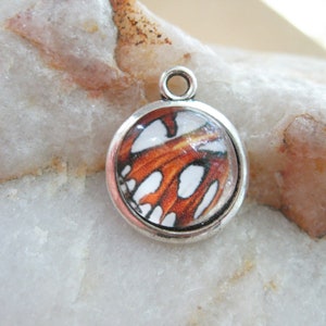 4 Butterfly Wing Pattern Charms - C3249