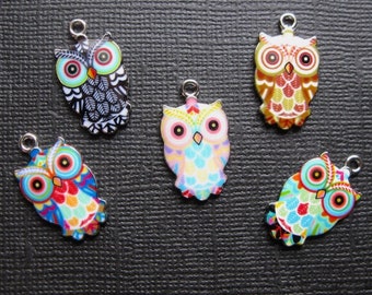 Owl Charm Collection - C3692