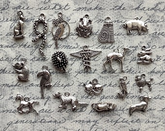 Veterinarian Charm Collection - C3917