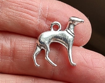 8 Greyhound Dog Charms in Silver Tone - C1113