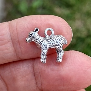 10 Lamb Charms in Silver Tone - C3777