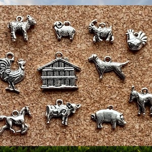 Animal Sanctuary Charm Collection - C3828