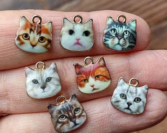 Cat Face Charm Collection - C4115