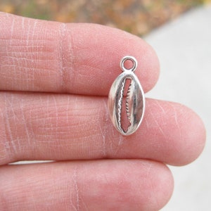 10 Cowrie Shell Beach Charms Pendants in Silver Tone C3356 image 2