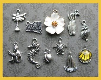 South Carolina Charm Collection in Silver Tone - C3147