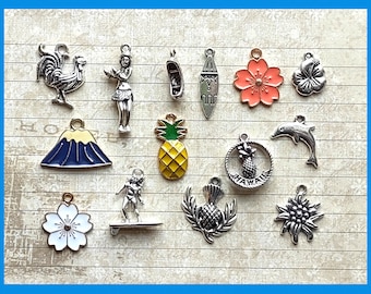 Hawaii Charm Collection - C3928