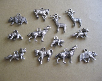 Collection of 12 American Wildlife Charms - C848