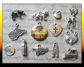 West Virginia Charm Collection in Silver Tone - C3297