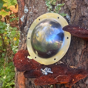 May include: A shiny, metallic porthole-style object with a brass-colored rim is mounted on a tree trunk. The porthole has a reflective, convex glass. Several silver bolts and a reddish-brown fungus are also visible.
