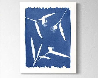 Day Flower Cyanotype Print – Blue and White Botanical Wall Decor