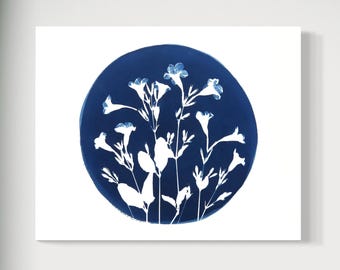 Botanical Cyanotype Print – Wild Pertulia Flower Art, Blue and White