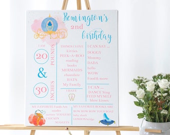 Editable Birthday Milestone Printable Cinderella Sign, 18x24 and 8x10 Milestone sign, Watercolor Pink Princess Cinderella Birthday sign 0125