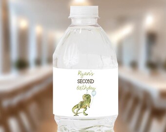 May include: Water bottle label with a green dinosaur holding a blue balloon. The label says "Ryan's Second Birthday".