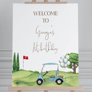 Hole in One Birthday, Editable Golf First Birthday Poster Template, Printable Hole in One Birthday sign, Boy 1st Birthday Party GP01