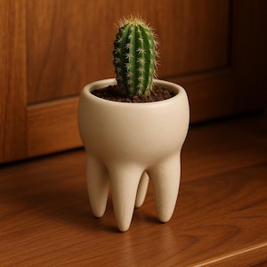 Op de afbeelding: Een kleine groene cactus met scherpe stekels staat in een crèmekleurige, tandvormige keramische plantenbak. De plantenbak heeft drie afgeronde poten en is gevuld met donkere aarde. De achtergrond is een houten oppervlak en een houten deur.