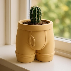 May include: A novelty planter shaped like a pair of boxer shorts in a light yellow colour. The planter holds soil and a green cactus with sharp spines. The planter is sitting on a white windowsill.