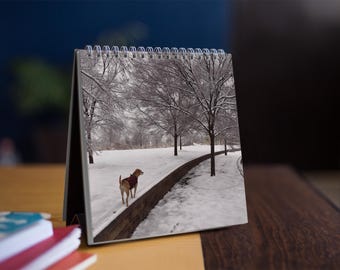 Custom Dog Photo 2026 Calendar - Personalized Pet Wall Calendar - Cute Gift for Dog Lovers, Pet Parents & Families