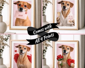 Valentines Collection