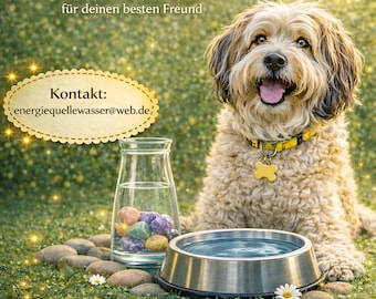 Heilsteine für Hunde