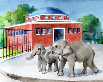 Brooklyn  Prospect Park Zoo  Elephants