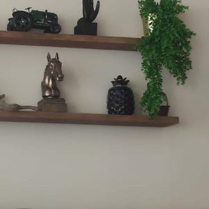 May include: Wooden shelves with various ornaments. A green tractor model, a black hand statue, a bronze horse head, and a black pineapple ornament are arranged. A potted plant with green leaves is also present.