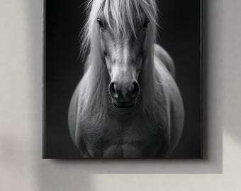 Black and White Pony Portrait | Elegant Wall Art Digital Print | Instant Download Poster | PDF, JPEG & PNG