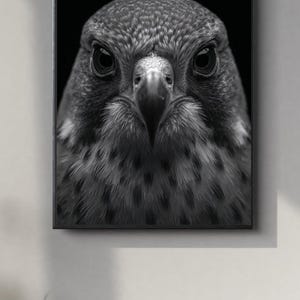Könnte beinhalten: Schwarz-Weiß-Druck eines Falken, gerahmt und vor schwarzem Hintergrund. Der intensive Blick und das detaillierte Gefieder des Falken stehen im Mittelpunkt. Das Kunstwerk hängt an der Wand über einer dunklen Holzoberfläche.
