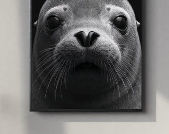 Black and White Seal Portrait | Powerful Wall Art Digital Print | Instant Download Poster | PDF, JPEG & PNG