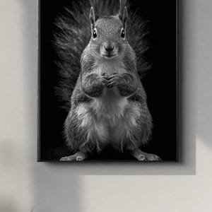 Könnte beinhalten: Schwarz-Weiß-Druck in einem Rahmen mit einem Eichhörnchen. Das Eichhörnchen ist zentriert, blickt den Betrachter an und hat die Pfoten zusammen. Das Bild hat einen hohen Kontrast, der das Fell und die Merkmale des Eichhörnchens hervorhebt. Der Hintergrund ist schwarz.