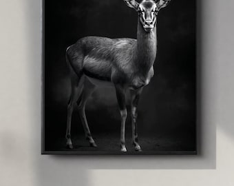 Black and White Antelope Portrait | Powerful Wall Art Digital Print | Instant Download Poster | PDF, JPEG & PNG