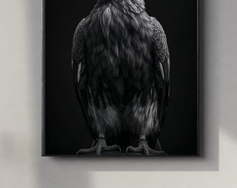 Black and White Red kite Portrait | Modern Wall Art Digital Print | Instant Download Poster | PDF, JPEG & PNG