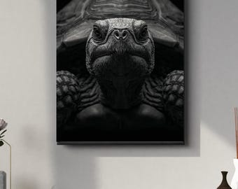 Black and White Tortoise Portrait | Powerful Wall Art Digital Print | Instant Download Poster | PDF, JPEG & PNG 2