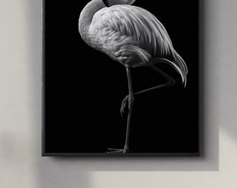 Black and White Flamingo Portrait | Powerful Wall Art Digital Print | Instant Download Poster | PDF, JPEG & PNG